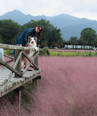 �ͼ���һ��ȥ�������ţ������ĵ���Ƭ��