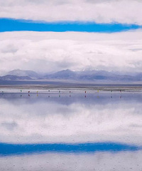 �������ž��ܴ�ȫ���磬�й���10���ط���ʤ