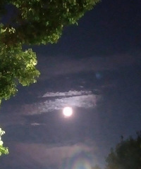 ʮ�������ʮ��Բ���㲶׽��Բ������