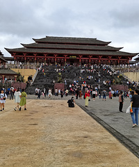 ѡ�ڹ���ȥ����棬������Ŀ�Ŷ�ֻ����10����