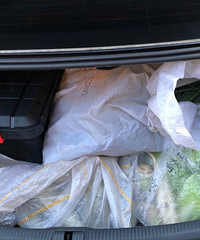 ���Ƿ��̵ĺ�����������䱻��������