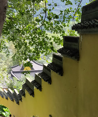 ·����ľ�룬������������ɫ