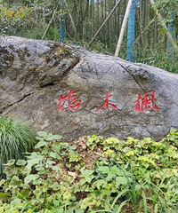 ·����ľ�룬������������ɫ