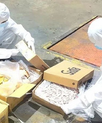 ע���ˣ���Щ����ͼ�צǧ����