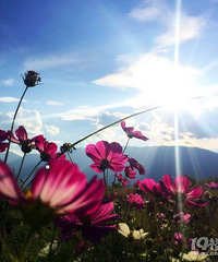 д��δ��Ů����15������С����