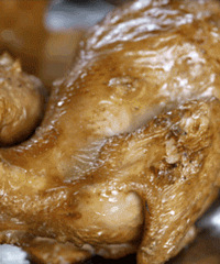 û��һֻ���ܻ����߳��㶫ʡ��