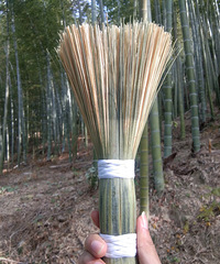 �����µǵ��������պõ�����ʦ����