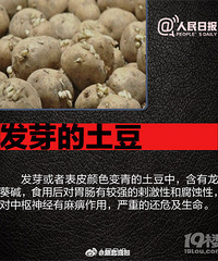 ���裡��Щʳ�ﲻ�ܳԣ����ж���