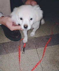 ��Ҫ������¥�����������Բ⣬�����ʲ��ʺ�����Ŷ