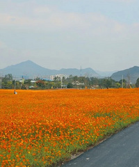 �������˵�쿪԰�ˣ����ȥ����