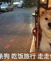 ����˵˵��ʲôԭ������һֱ������