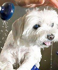 ������ϴ����Ҫע���10������