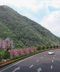 ����ȥ���ݵĸ���ʲôʱ����������