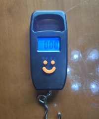 [����]���˸����ɳӣ�����·����ˮ���ĵ��ӳӶ���8����