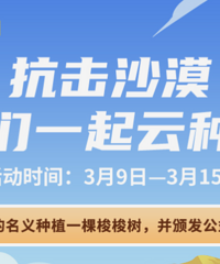 ���������п�������~