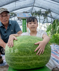 破浙江纪录!