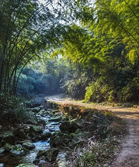 富阳四大登山圈,错过哪个都可惜