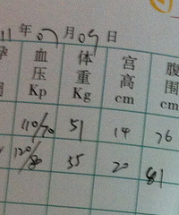 "怀孕5个月了,肚子不显怀啊,帮我看看数据"