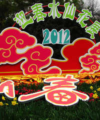 【原创】水仙花展