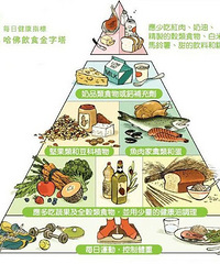 "2008美国哈佛医学院的“食物金字塔”"