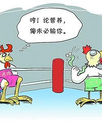 "天价土鸡PK普通鸡营养真的千差万别?(图)"