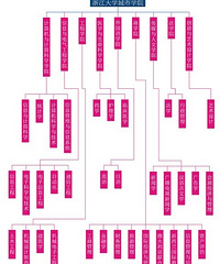 2017浙江大学城市学院分数线(待更新)