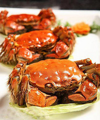 "阳澄湖大闸蟹不能和哪些食物一起吃"