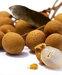 桂圆9大食疗方 早吃补脾晚吃安神
