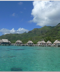 寻找太平洋的黑珍珠-大溪地moorea&bora bora