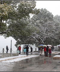 雪西湖