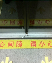 "太惨了。。坐地铁 千万不要冲门"