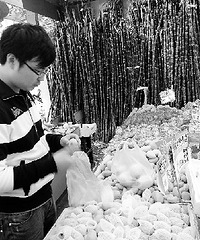 "甘蔗菠萝,终于等来了好时候"