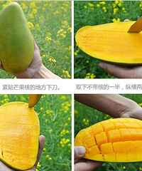 "海南水果,特大芒果,超甜释迦果,菠萝蜜,口水流了有木有"