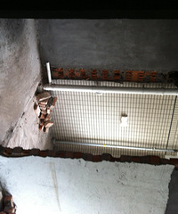 ����С���Ѹ�װ��