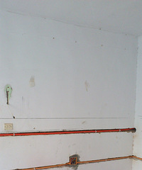 50+С����װ��С��