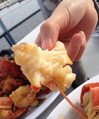 "澳洲鱼市~大腿粗的龙虾和超级干净的牡蛎"