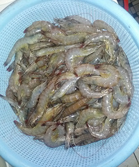 "自创大盆虾的做法"