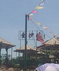 "【6队】温州的海鲜啊,一个字,鲜!"
