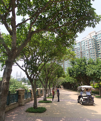 什么时候看到都不迟的香港亲子游攻略