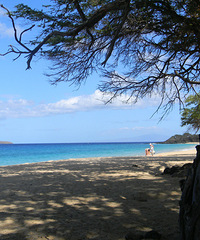 "夏威夷maui岛七日游"