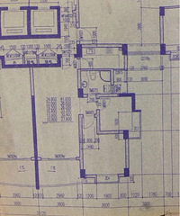 С��è���ѣ�������97m?���