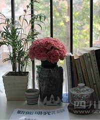 "最“潮”男生寝室爆红 粉红鞋架欧式书柜(图)"