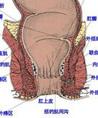 为什么会产后长痔疮?