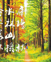 11月17日长乐林场,甘岭水库,娘娘山 登山 拍枫叶 赏醉人秋色
