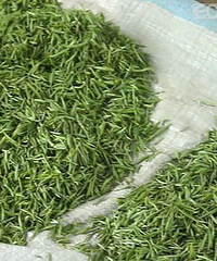 "绍兴茶比绍兴酒的名气大得多"