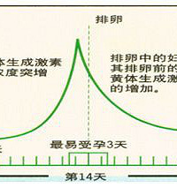 "排卵期有几天"