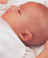 十个月婴儿营养食谱