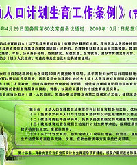 "人口与计划生育条例是什么"