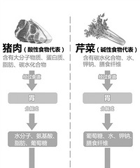 "多吃碱性食物,能变成碱性体质 多吃碱性食物,能生儿子能抗癌"