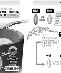 "白米饭不是垃圾食品 但要学会怎么吃"